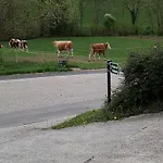 D'hotes Chez Pierrot Et Flo * Vugelles-La Mothe