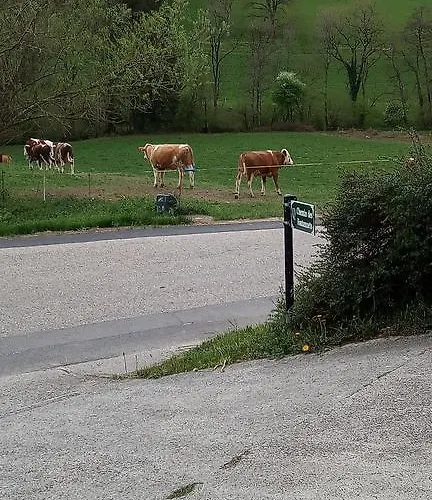 D'hotes Chez Pierrot Et Flo * Vugelles-La Mothe