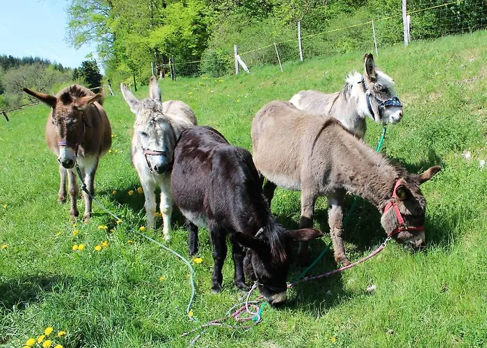 D'hotes Chez Pierrot Et Flo *