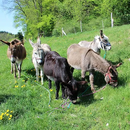 D'hotes Chez Pierrot Et Flo *